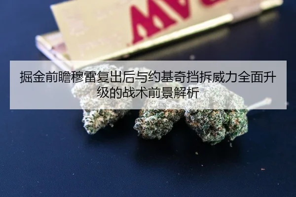 掘金前瞻穆雷复出后与约基奇挡拆威力全面升级的战术前景解析